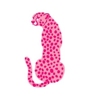 Meet your Posher, Kam